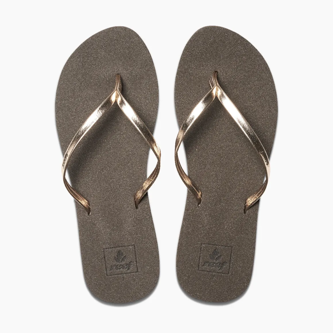Bliss Nights