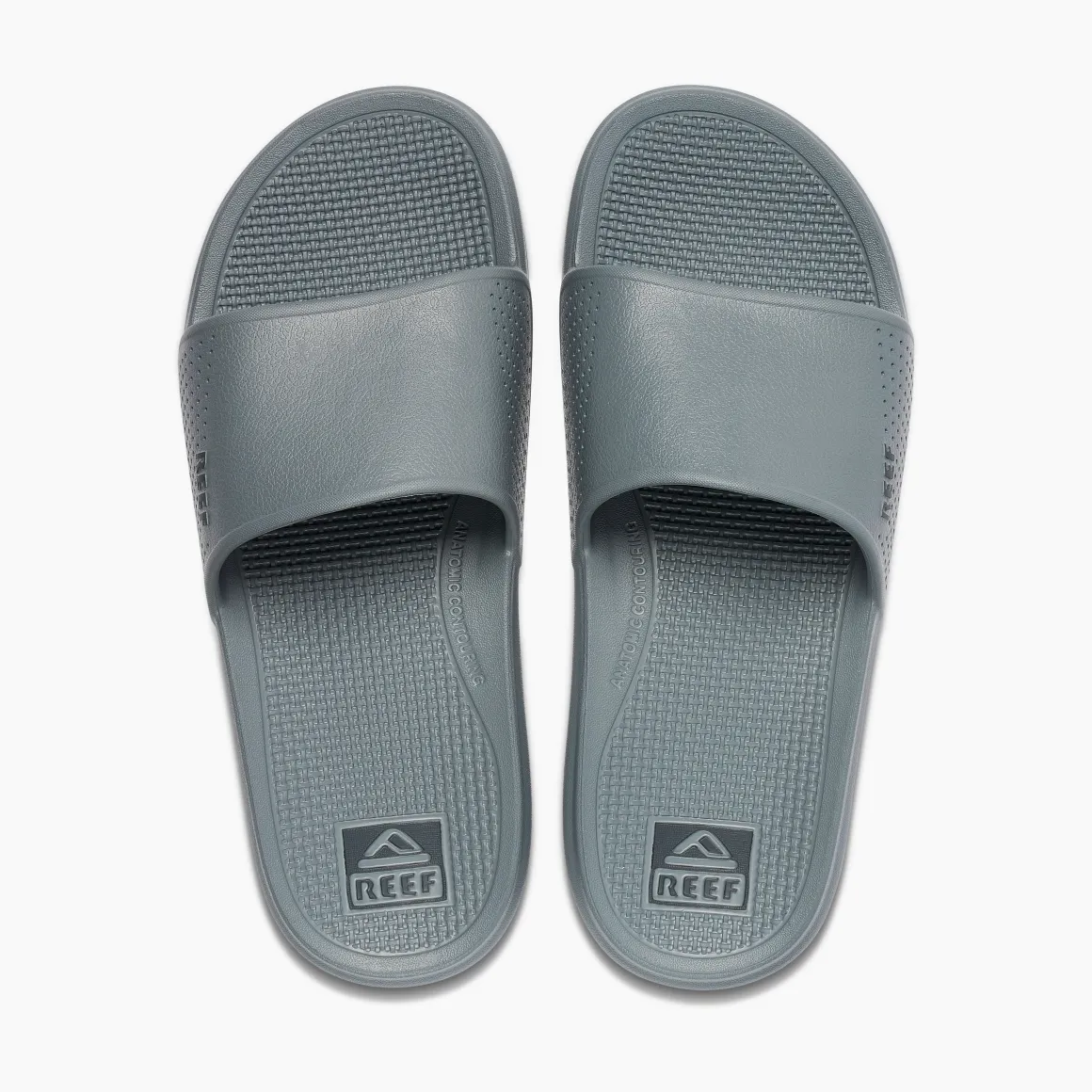 Oasis Slide