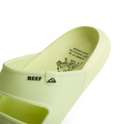 Reef Oasis X Duvin