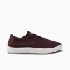 Swellsole Terramar