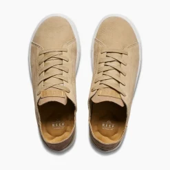 Swellsole Terramar