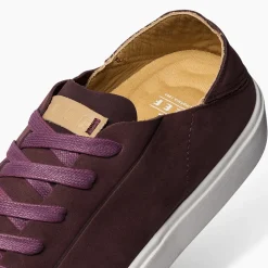 Swellsole Terramar