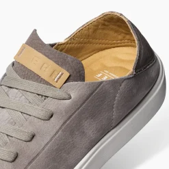 Swellsole Terramar
