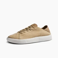 Swellsole Terramar